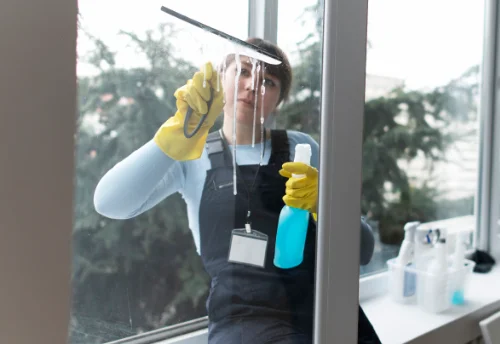 Nettoyage de vitres intérieures et extérieures à Boissey-le-Châtel